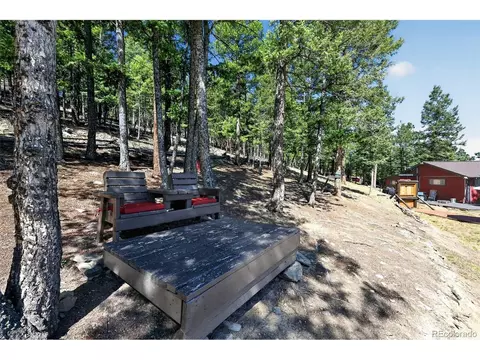 Exterior - 1089 Burland Dr, Bailey, CO 80421 photo 7 of 8
