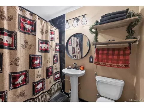 Bath - 1089 Burland Dr, Bailey, CO 80421 photo 2 of 2