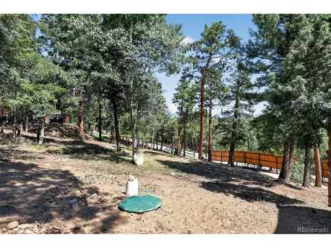 Exterior - 1089 Burland Dr, Bailey, CO 80421 photo 8 of 8
