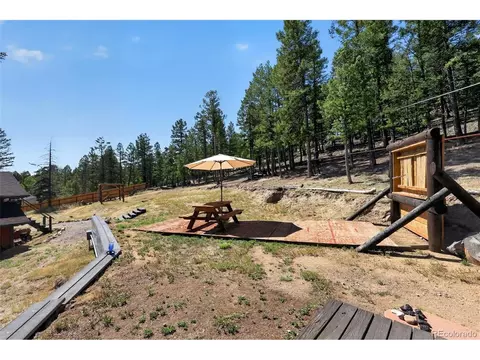 Exterior - 1089 Burland Dr, Bailey, CO 80421 photo 5 of 8