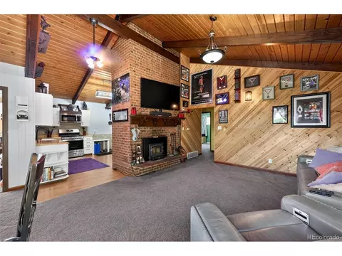 Living - 1089 Burland Dr, Bailey, CO 80421 photo 3 of 3