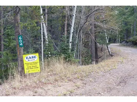 Other - 604 Castlewood Dr, Evergreen, CO 80439 photo 11 of 11