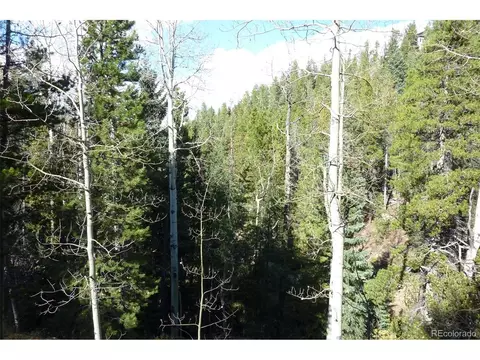 Other - 604 Castlewood Dr, Evergreen, CO 80439 photo 5 of 11