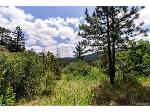 0 Goins Dr, Morrison, CO 80465 photo 8