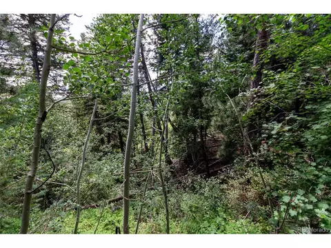 0 Goins Dr, Morrison, CO 80465 photo 15
