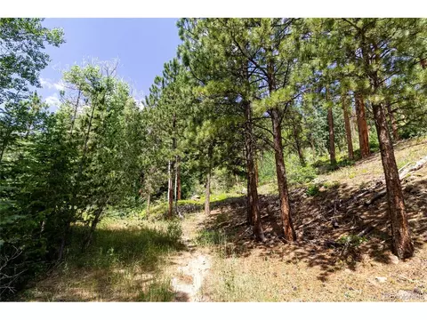 0 Goins Dr, Morrison, CO 80465 photo 14