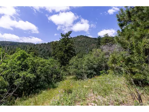 0 Goins Dr, Morrison, CO 80465 photo 10