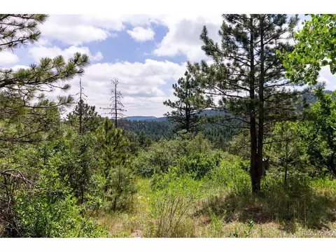 0 Goins Dr, Morrison, CO 80465 photo 6