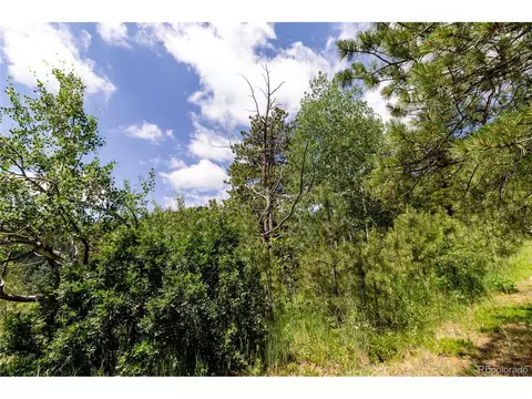 0 Goins Dr, Morrison, CO 80465 photo 5