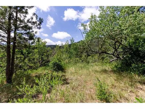 0 Goins Dr, Morrison, CO 80465 photo 7