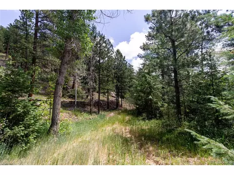 0 Goins Dr, Morrison, CO 80465 photo 16