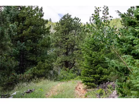 0 Goins Dr, Morrison, CO 80465 photo 4