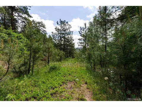 0 Goins Dr, Morrison, CO 80465 photo 11