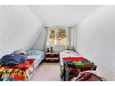 368 Rising Sun Rd, Bailey, CO 80421 photo 12