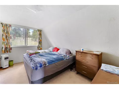 368 Rising Sun Rd, Bailey, CO 80421 photo 13