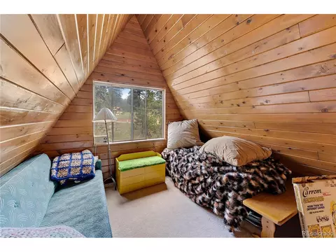 368 Rising Sun Rd, Bailey, CO 80421 photo 9