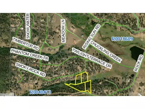 368 Rising Sun Rd, Bailey, CO 80421 photo 16