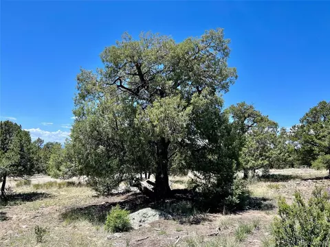 1290 Moonlight Way, Crestone, CO 81131 photo 7