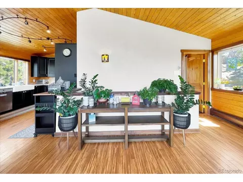 22155 Cook Ln, Morrison, CO 80465 photo 9