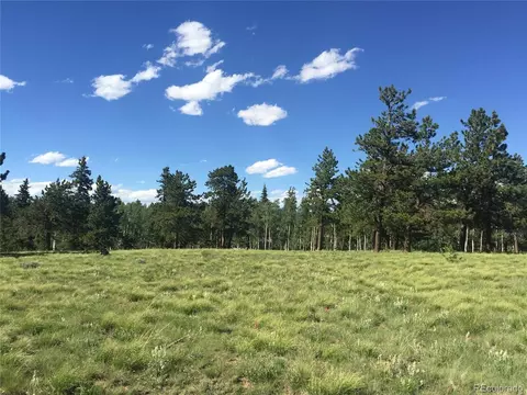 2196 Singletree Rd, Hartsel, CO 80449