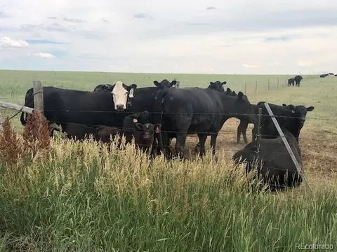 4465 S Calhan Hwy, Yoder, CO 80864 photo 19