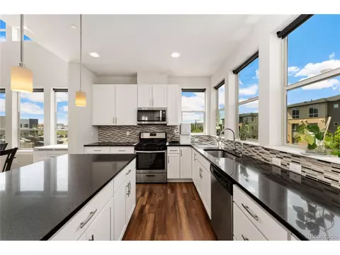 9002 E 47th Ave, Denver, CO 80238 photo 18