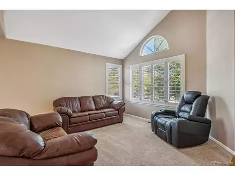 10248 Hexton Ct, Lone Tree, CO 80124 photo 5