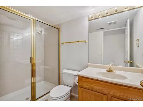 10248 Hexton Ct, Lone Tree, CO 80124 photo 32