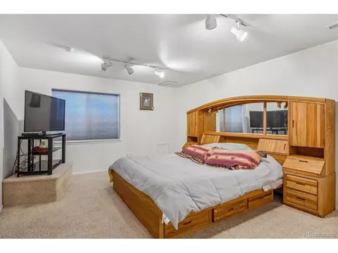10248 Hexton Ct, Lone Tree, CO 80124 photo 33