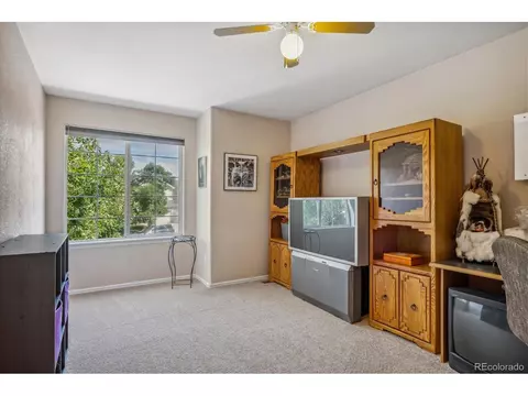 10248 Hexton Ct, Lone Tree, CO 80124 photo 27