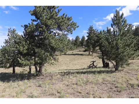 2206 Windmill Dr, Hartsel, CO 80449