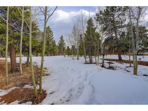 432 Quartz Cir, Bailey, CO 80421 photo 38