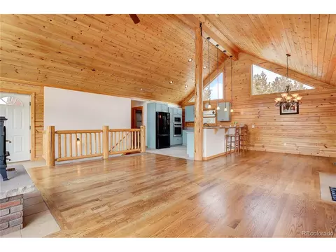 432 Quartz Cir, Bailey, CO 80421 photo 10