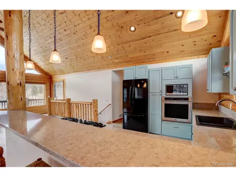 432 Quartz Cir, Bailey, CO 80421 photo 16