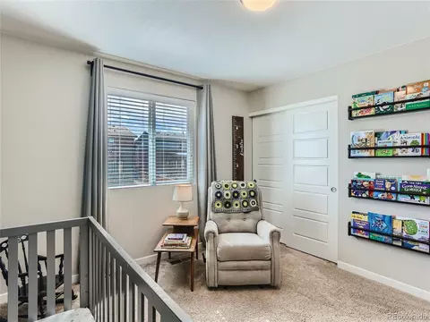 14486 Big Stone Dr, Parker, CO 80134 photo 32