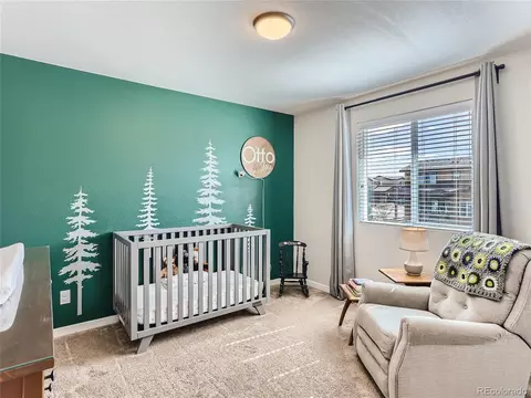 14486 Big Stone Dr, Parker, CO 80134 photo 31