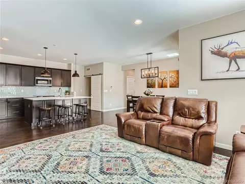 14486 Big Stone Dr, Parker, CO 80134 photo 9