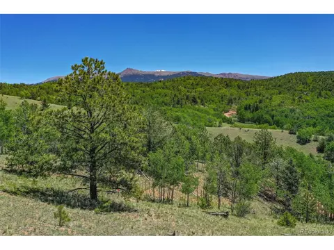 46 Hobo Ct, Cripple Creek, CO 80813