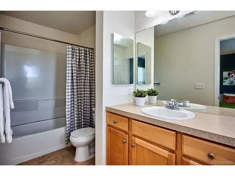8002 E 29th Ave, Denver, CO 80238 photo 19