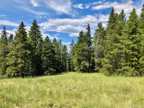 3582 S S S, Leadville, CO 80461