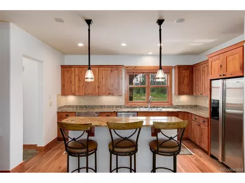 7 Meadow Trl, Fraser, CO 80442 photo 7