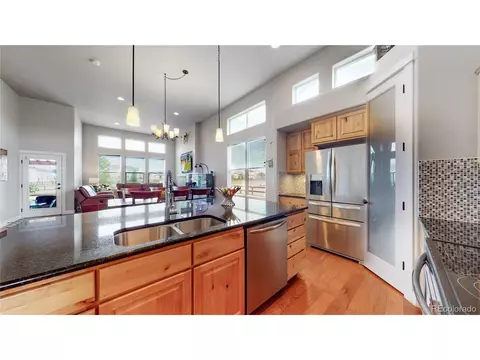 855 Corn Stalk Dr, Windsor, CO 80550 photo 9