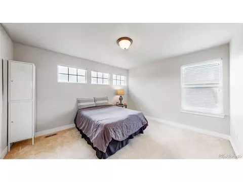 855 Corn Stalk Dr, Windsor, CO 80550 photo 22