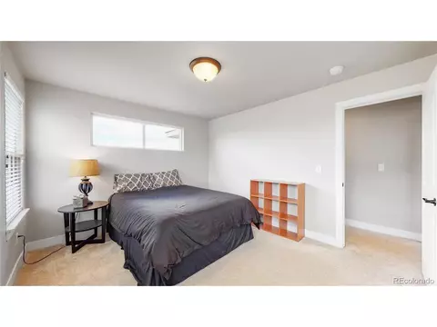 855 Corn Stalk Dr, Windsor, CO 80550 photo 19