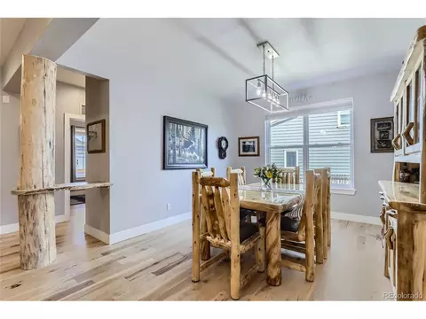 1576 E 166th Pl, Thornton, CO 80602 photo 15