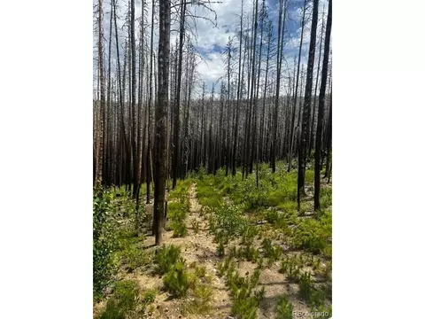 0 Old Ballard Logging Rd, Loveland, CO 80537