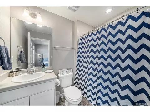 1819 Hydrangea Dr, Windsor, CO 80550 photo 25