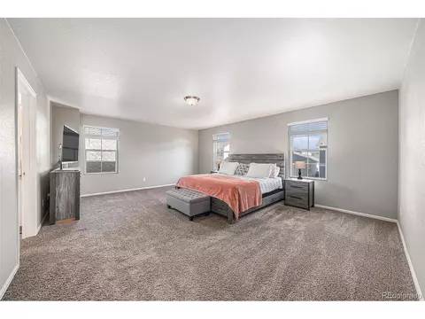 1819 Hydrangea Dr, Windsor, CO 80550 photo 17