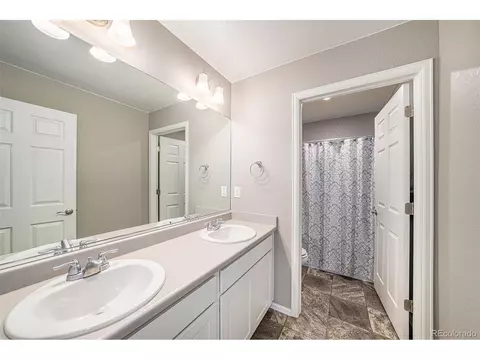 1819 Hydrangea Dr, Windsor, CO 80550 photo 28
