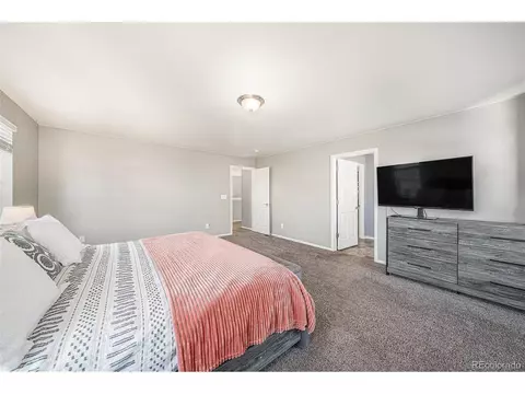 1819 Hydrangea Dr, Windsor, CO 80550 photo 18